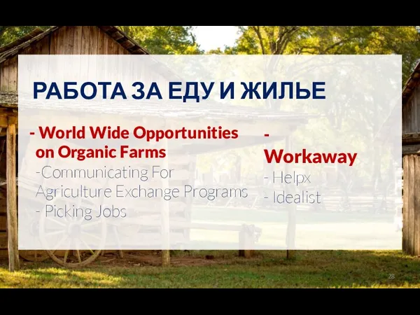 - Workaway - Helpx - Idealist World Wide Opportunities on