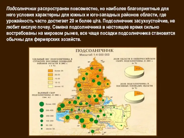 Подсолнечник распространен повсеместно, но наиболее благоприятные для него условия характерны