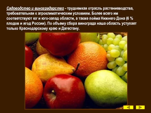 Садоводство и виноградарство - трудоемкая отрасль растениеводства, требовательная к агроклиматическим