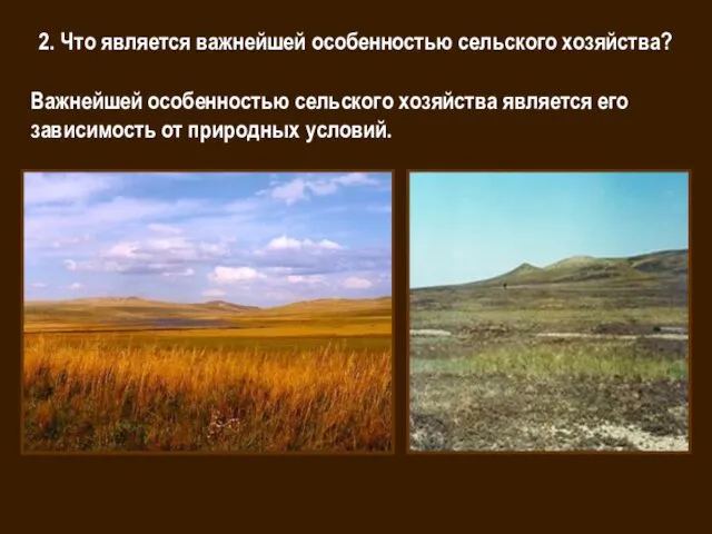 2. Что является важнейшей особенностью сельского хозяйства? Важнейшей особенностью сельского