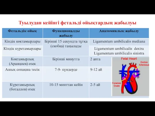 Туылудан кейінгі фетальді ойықтардың жабылуы