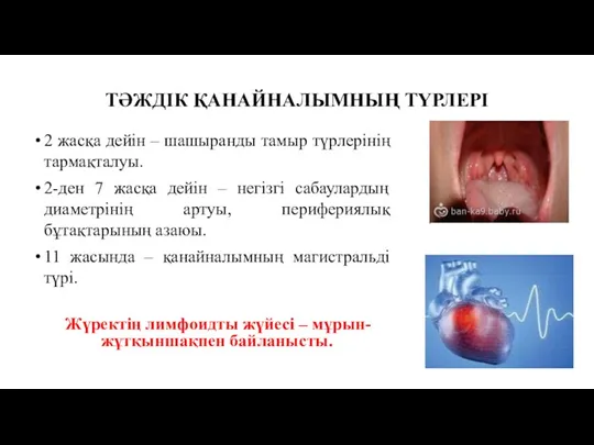 ТӘЖДІК ҚАНАЙНАЛЫМНЫҢ ТҮРЛЕРІ 2 жасқа дейін – шашыранды тамыр түрлерінің