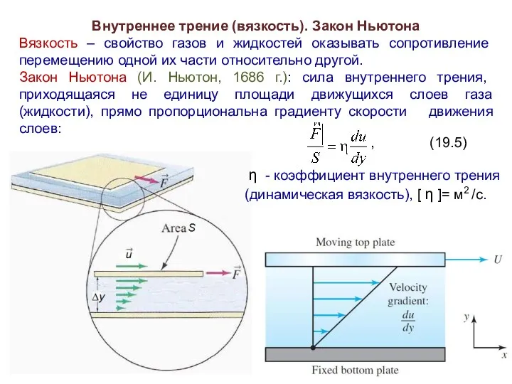 Внутреннее трение (вязкость). Закон Ньютона Вязкость – свойство газов и