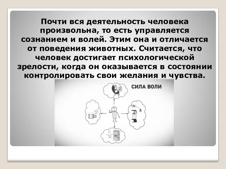 Почти вся деятельность человека произвольна, то есть управляется сознанием и