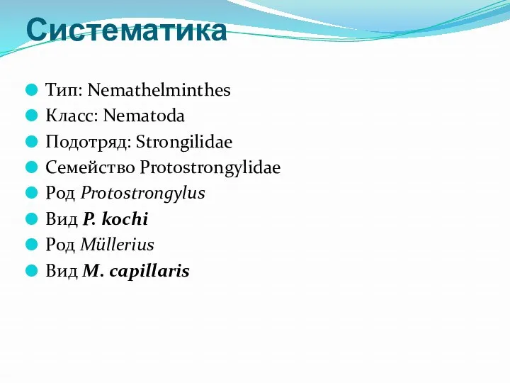 Систематика Тип: Nemathelminthes Класс: Nematoda Подотряд: Strongilidae Семейство Protostrongylidae Род