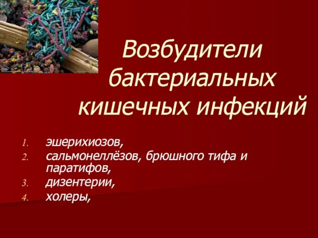 Возбудители бактериальных кишечных инфекций