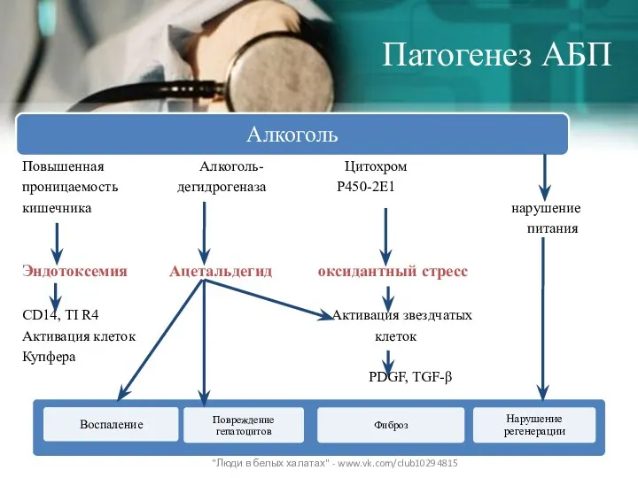Патогенез АБП Повышенная Алкоголь- Цитохром проницаемость дегидрогеназа P450-2E1 кишечника нарушение
