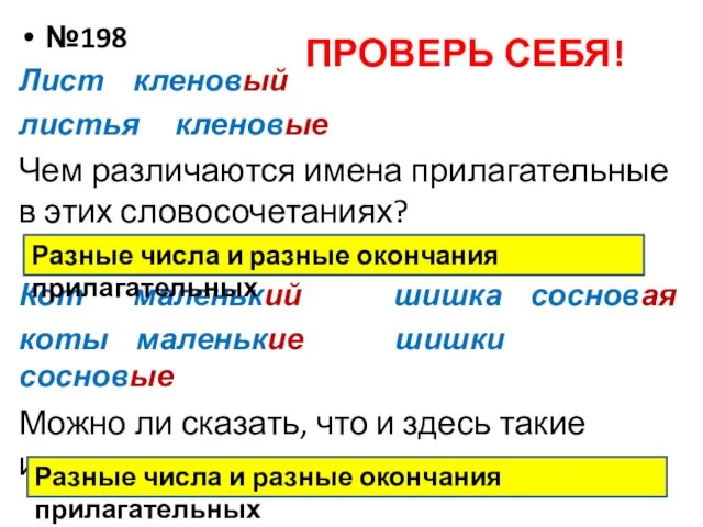 ПРОВЕРЬ СЕБЯ! №198 Лист кленовый листья кленовые Чем различаются имена