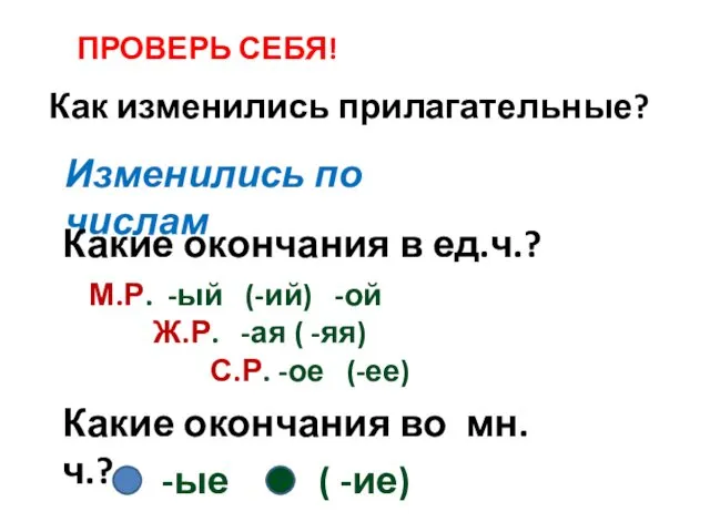 Как изменились прилагательные? ПРОВЕРЬ СЕБЯ! Изменились по числам Какие окончания