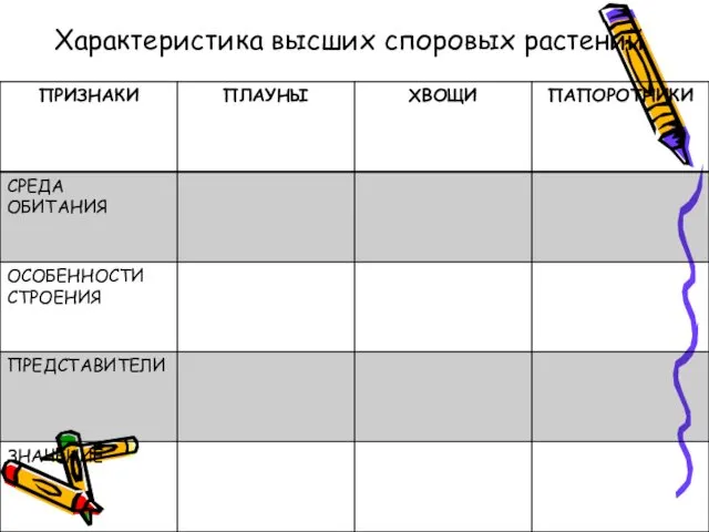 Характеристика высших споровых растений