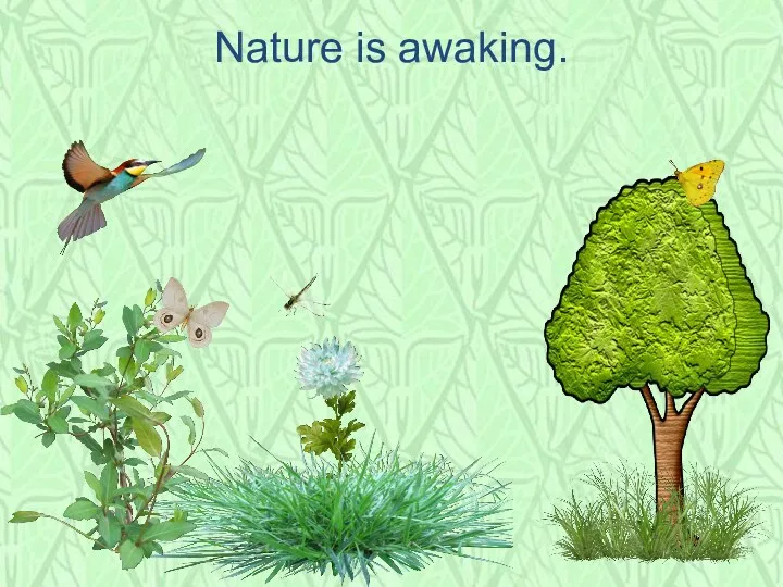 Nature is awaking.
