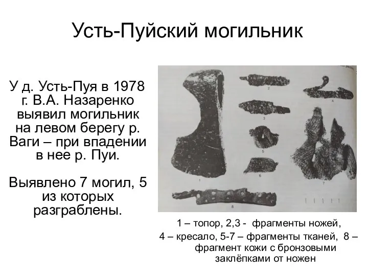 У д. Усть-Пуя в 1978 г. В.А. Назаренко выявил могильник