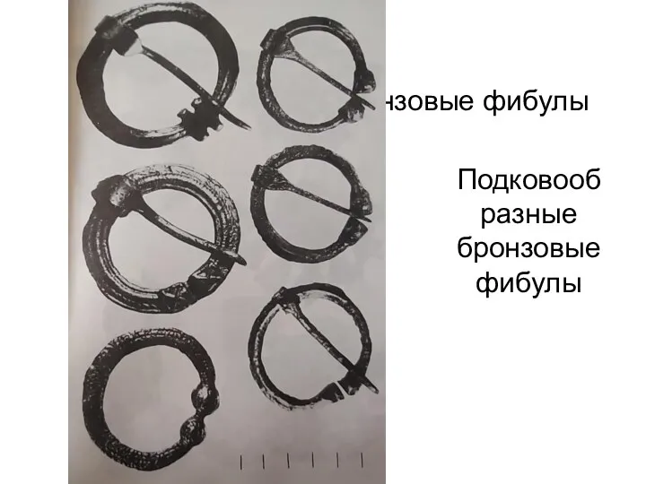 Подковообразные бронзовые фибулы Подковообразные бронзовые фибулы