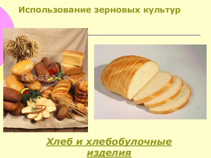 Использование зерновых культур Хлеб и хлебобулочные изделия