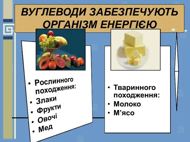 ВУГЛЕВОДИ ЗАБЕЗПЕЧУЮТЬ ОРГАНІЗМ ЕНЕРГІЄЮ