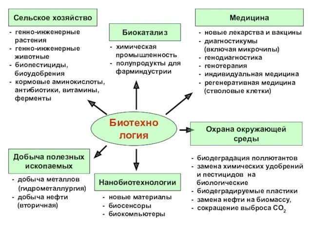 Сельское хозяйство Медицина Нанобиотехнологии Биокатализ Добыча полезных ископаемых - добыча