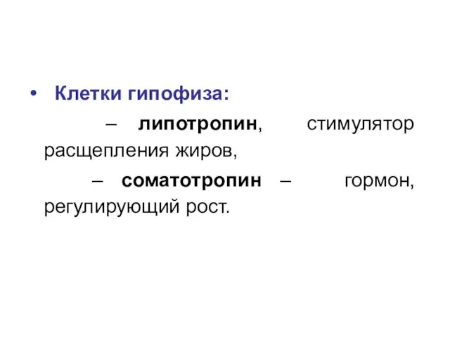 Клетки гипофиза: – липотропин, стимулятор расщепления жиров, – соматотропин – гормон, регулирующий рост.