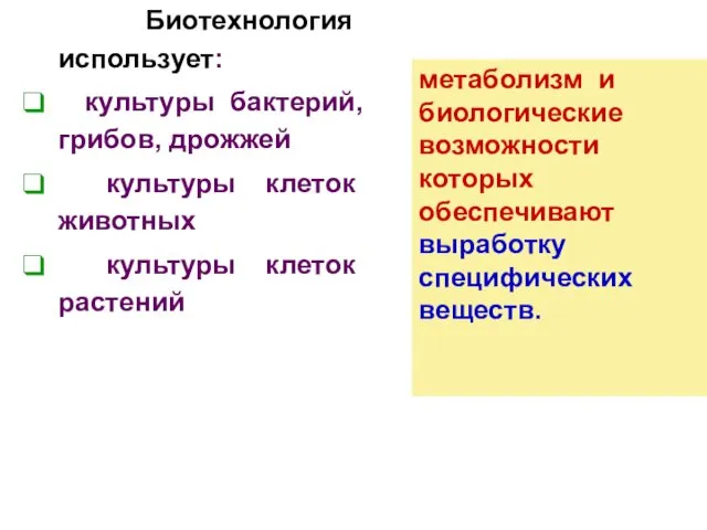 Биотехнология использует: культуры бактерий, грибов, дрожжей культуры клеток животных культуры