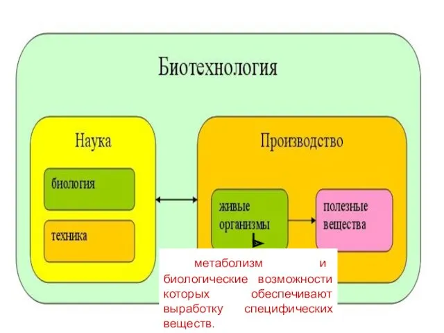 метаболизм и биологические возможности которых обеспечивают выработку специфических веществ.