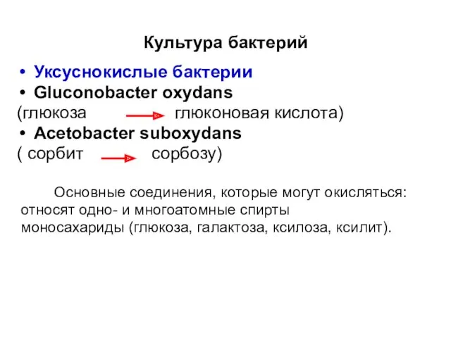 Культура бактерий Уксуснокислые бактерии Gluconobacter oxydans (глюкоза глюконовая кислота) Acetobacter