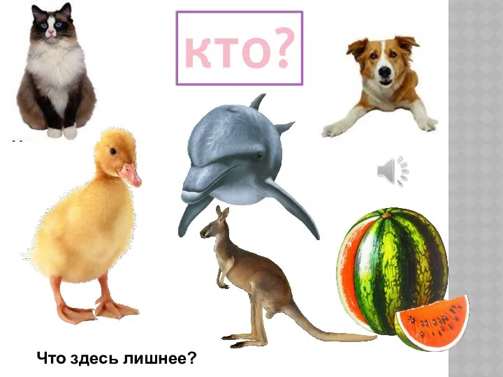 кто? Что здесь лишнее?