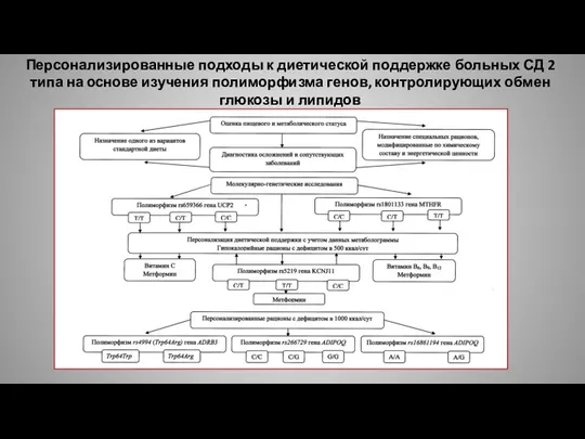 Персонализированные подходы к диетической поддержке больных СД 2 типа на