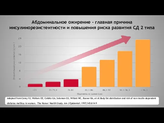 Абдоминальное ожирение - главная причина инсулинорезистентности и повышения риска развития