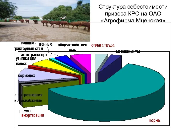 Структура себестоимости привеса КРС на ОАО «Агрофирма Мценская»