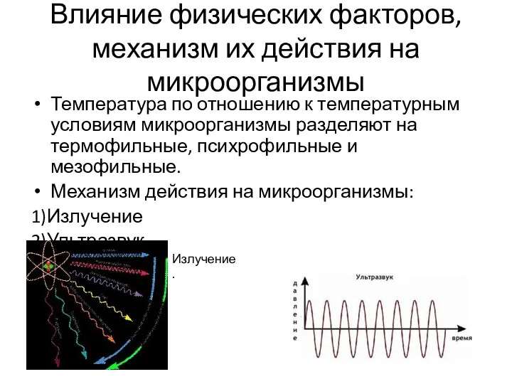 Влияние физических факторов, механизм их действия на микроорганизмы Температура по