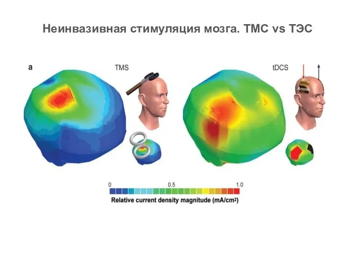 Неинвазивная стимуляция мозга. ТМС vs ТЭС