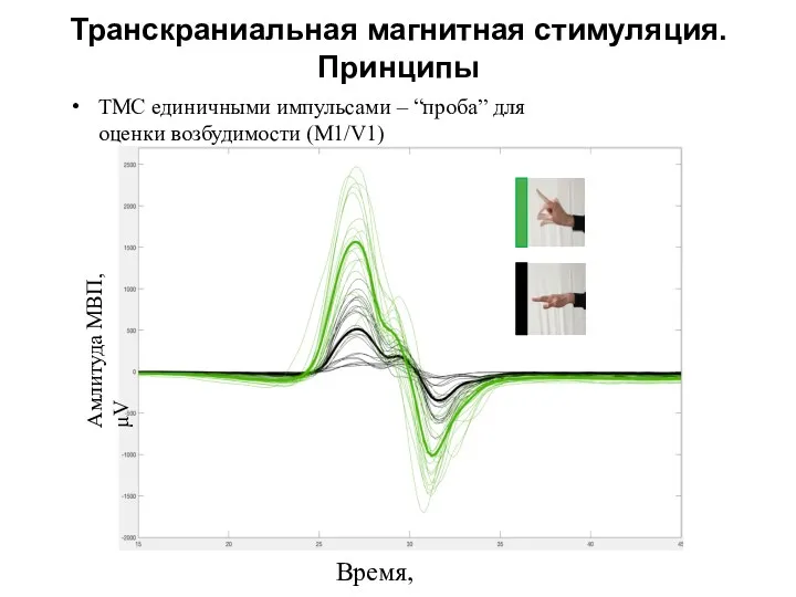 ТМС единичными импульсами – “проба” для оценки возбудимости (M1/V1) Амлитуда МВП, μV Время,
