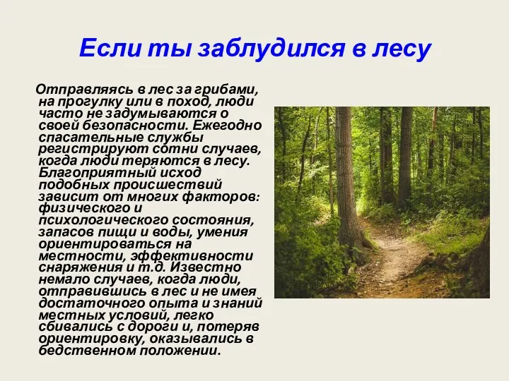 Если ты заблудился в лесу Отправляясь в лес за грибами,