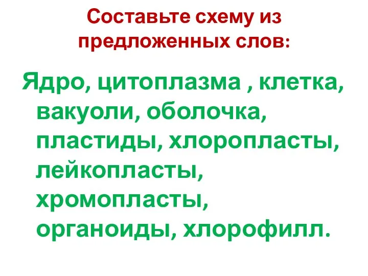 Составьте схему из предложенных слов: Ядро, цитоплазма , клетка, вакуоли,