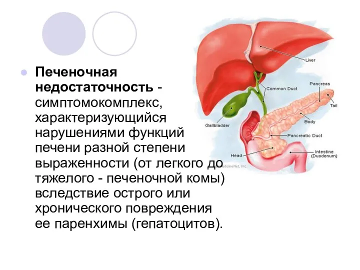 Печеночная недостаточность - симптомокомплекс, характеризующийся нарушениями функций печени разной степени выраженности (от легкого