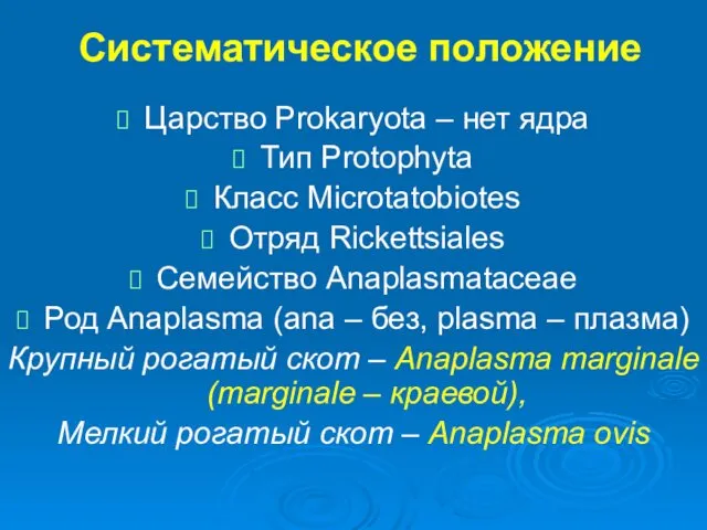 Систематическое положение Царство Prokaryota – нет ядра Тип Protophyta Класс