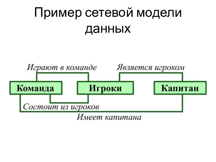 Пример сетевой модели данных