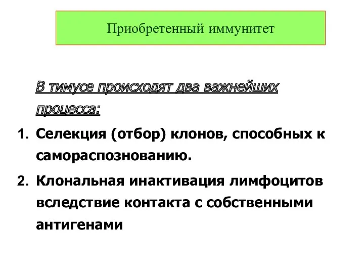 В тимусе происходят два важнейших процесса: Селекция (отбор) клонов, способных