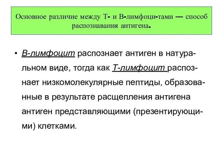 Основное различие между Т- и В-лимфоци-тами — способ распознавания антигена.