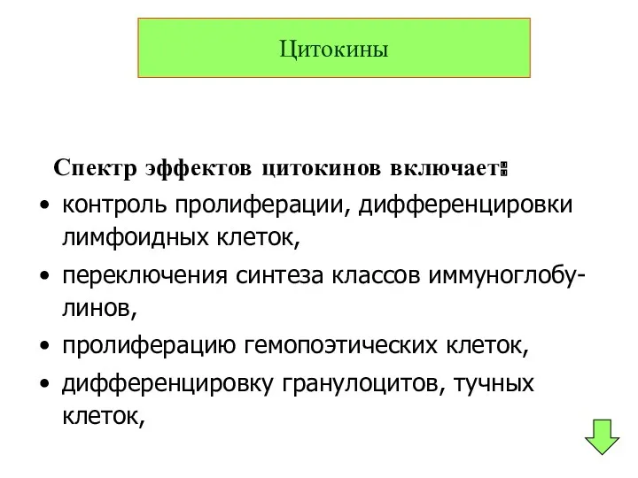 Спектр эффектов цитокинов включает: контроль пролиферации, дифференцировки лимфоидных клеток, переключения