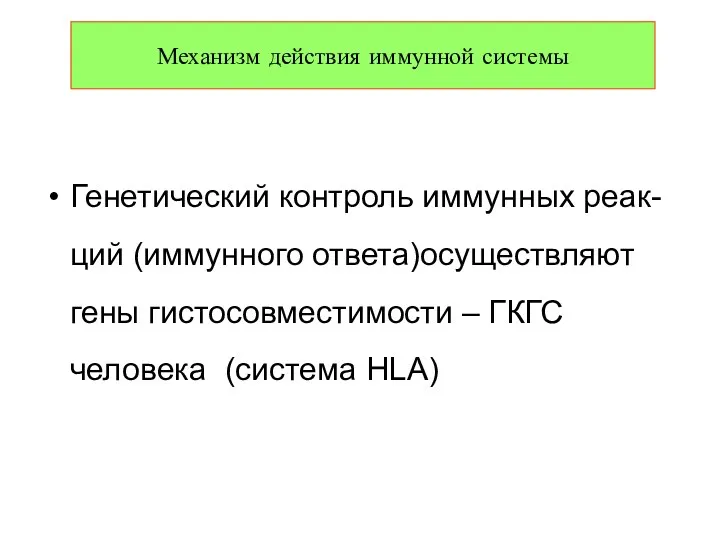 Генетический контроль иммунных реак-ций (иммунного ответа)осуществляют гены гистосовместимости – ГКГС