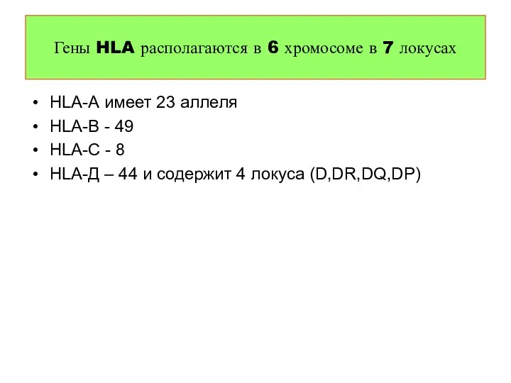 HLA-А имеет 23 аллеля HLA-В - 49 HLA-С - 8