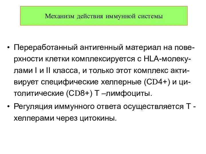 Переработанный антигенный материал на пове-рхности клетки комплексируется с НLА-молеку-лами I