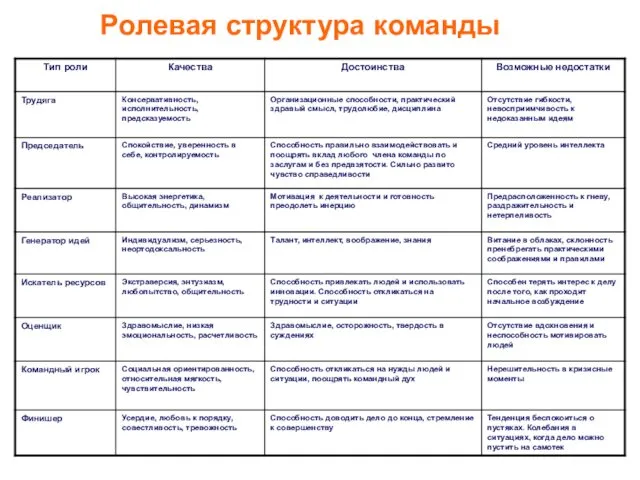 Ролевая структура команды