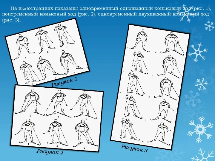 На иллюстрациях показаны одновременный одношажный коньковый ход (рис. 1), попеременный