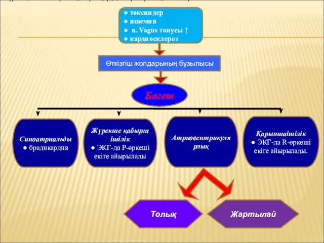 ● токсиндер ● ишемия ● n. Vagus тонусы ↑ ●