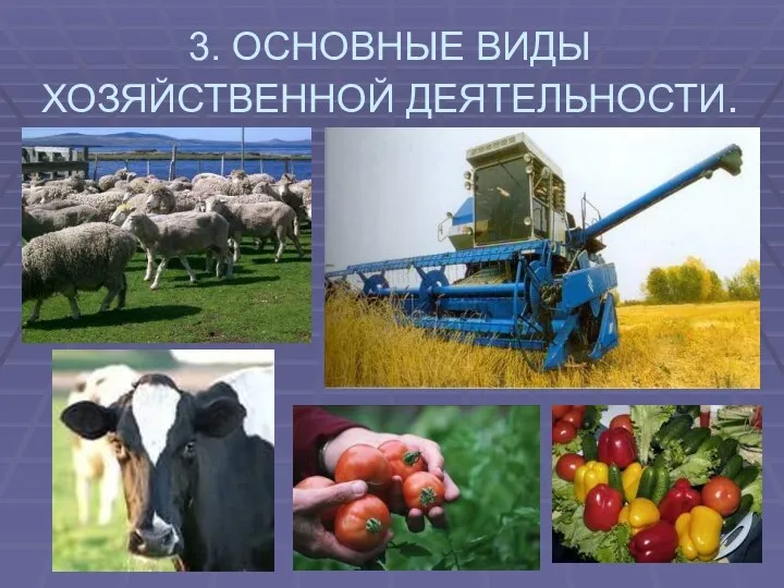 3. ОСНОВНЫЕ ВИДЫ ХОЗЯЙСТВЕННОЙ ДЕЯТЕЛЬНОСТИ.