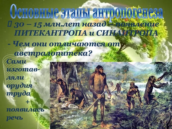 30 – 15 млн.лет назад – появление ПИТЕКАНТРОПА и СИНАНТРОПА