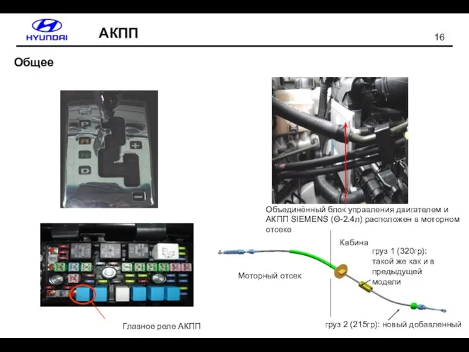 Общее АКПП Объединённый блок управления двигателем и АКПП SIEMENS (Θ-2.4л) расположен в моторном