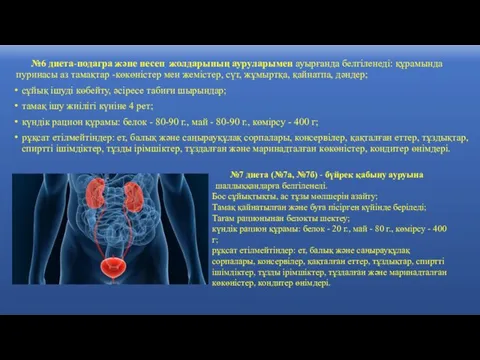 №6 диета-подагра және несеп жолдарының ауруларымен ауырғанда белгіленеді: құрамында пуринасы