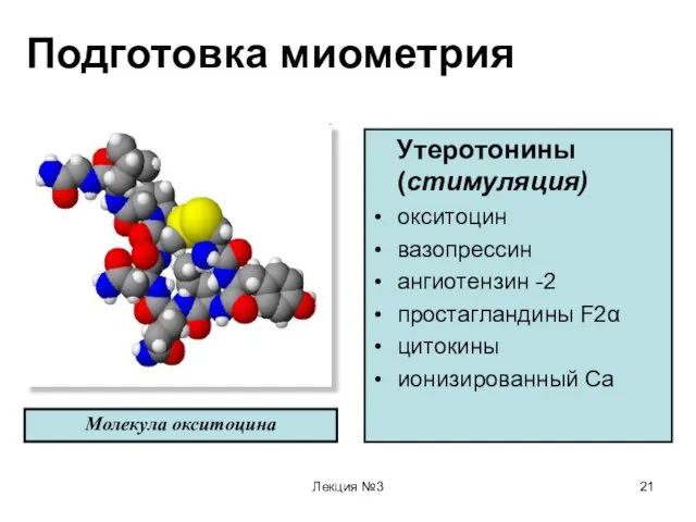 Лекция №3 Подготовка миометрия Утеротонины (стимуляция) окситоцин вазопрессин ангиотензин -2 простагландины F2α цитокины